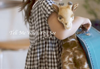 Tell me what you see